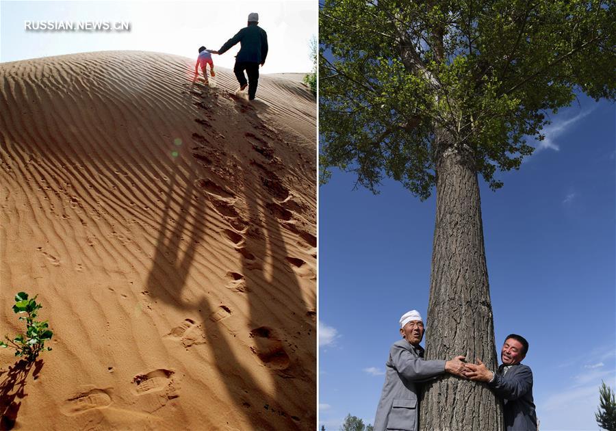 Невероятное преображение пустыни Му-Ус в Шэньси