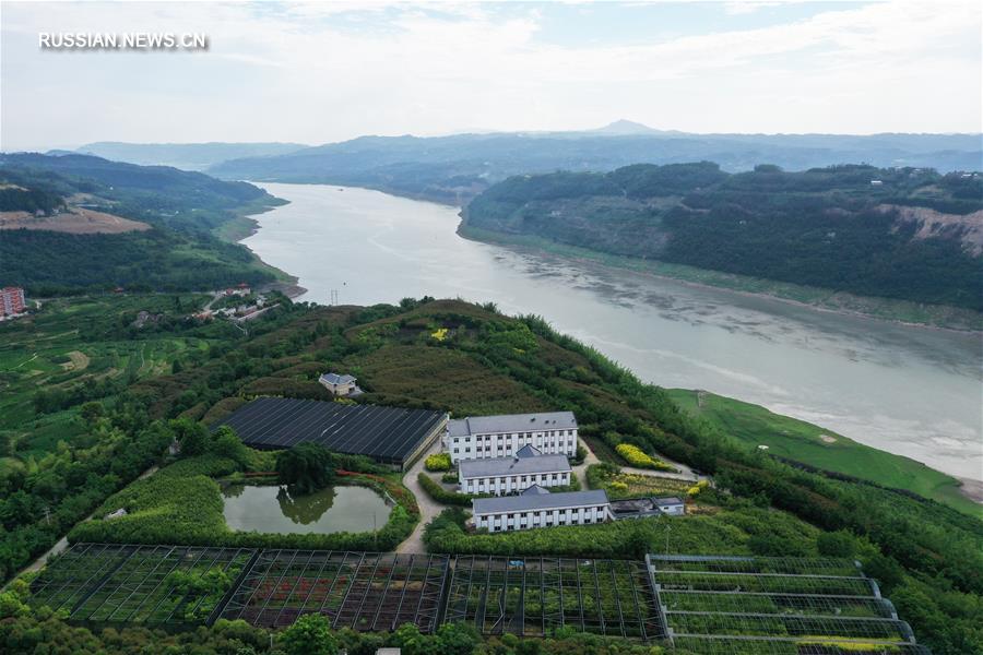 Развитие экологичного производства в чунцинском районе Ваньчжоу