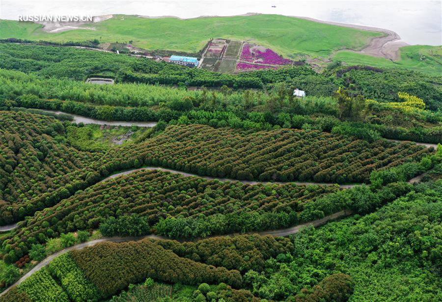 Развитие экологичного производства в чунцинском районе Ваньчжоу