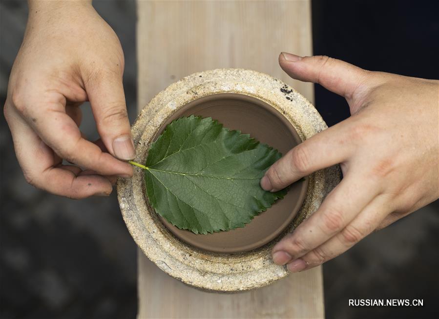 Неповторимые "чашки-листья" из Цзянси