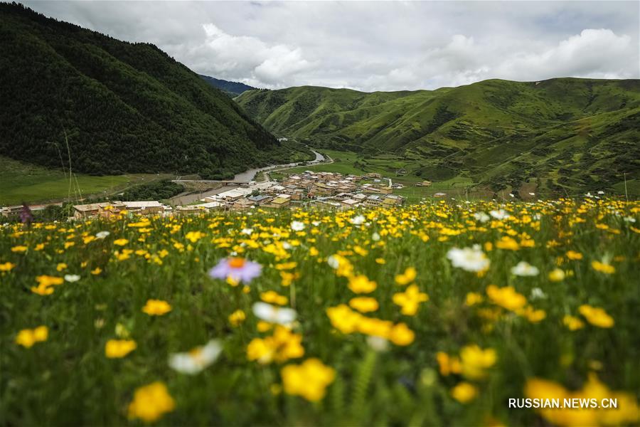 Новый облик деревень Цинхай-Тибетского нагорья