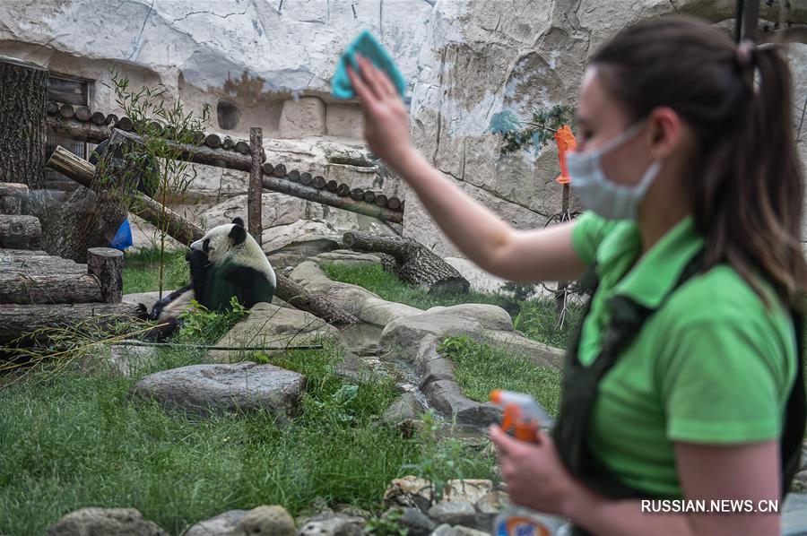 В Москве вновь открылся городской зоопарк 