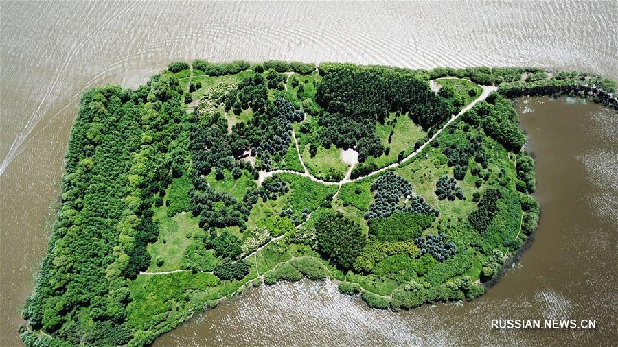 Национальный заболоченный парк на острове Солнца в Харбине