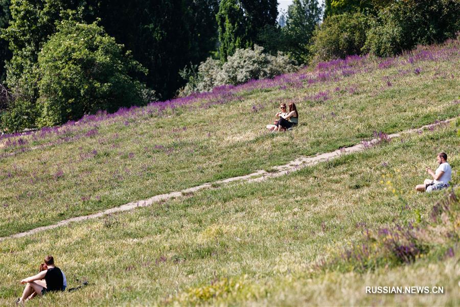 Общее число подтвержденных случаев заражения COVID-19 в Германии превысило 187 тыс.