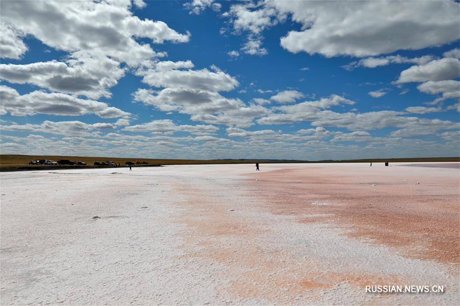 Розовое озеро посреди казахстанских степей