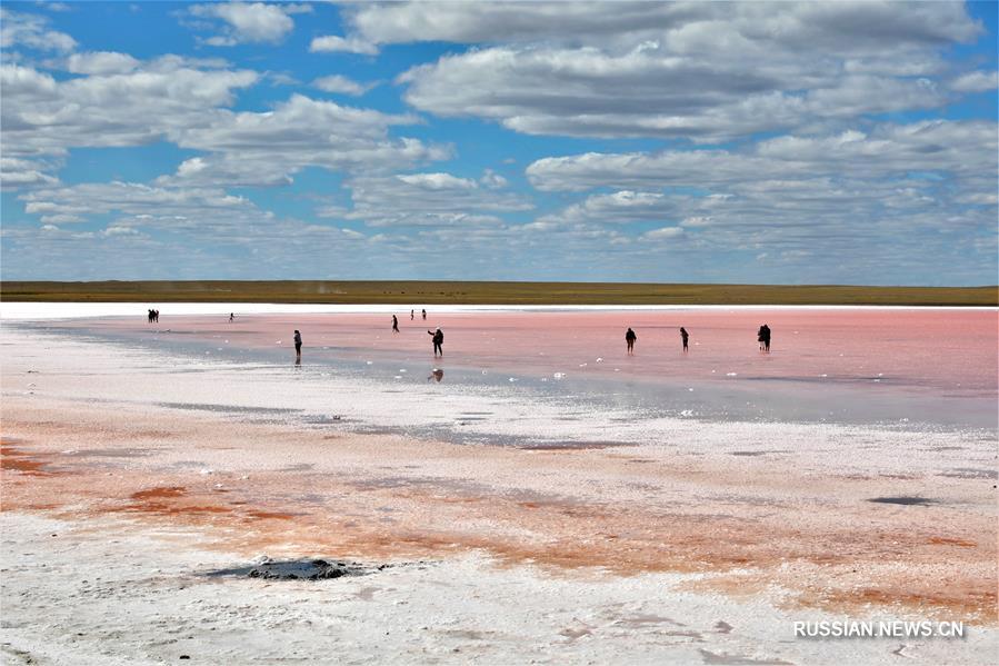 Розовое озеро посреди казахстанских степей