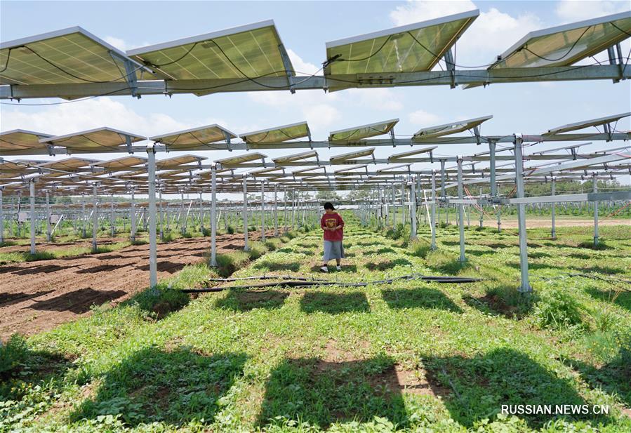 Чудесное перерождение бедной деревни в степи Башан