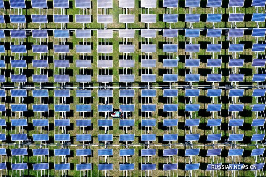 Чудесное перерождение бедной деревни в степи Башан