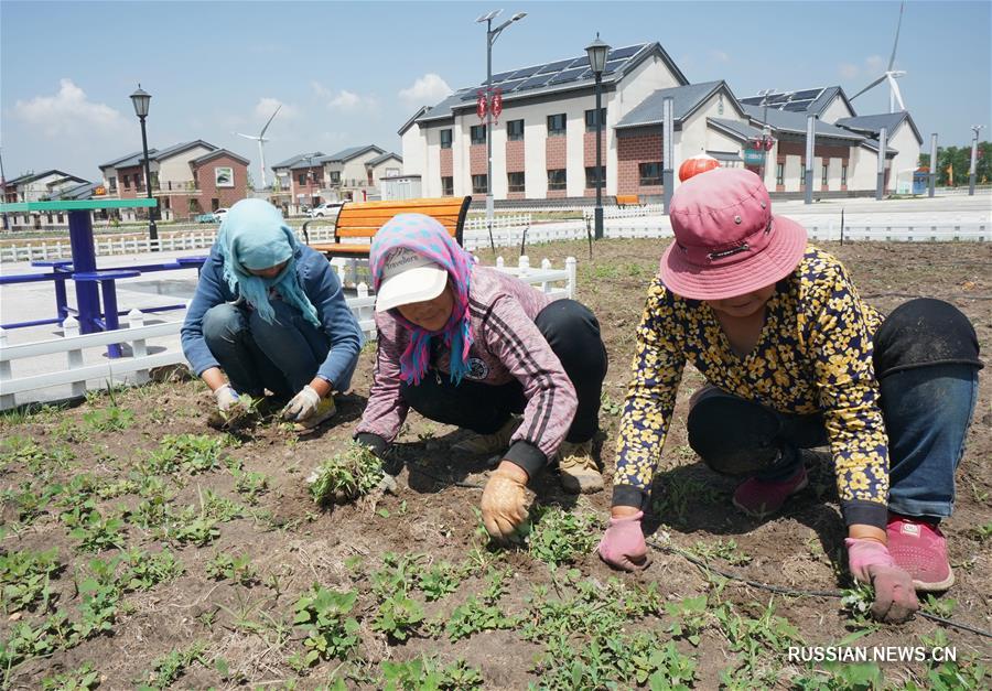 Чудесное перерождение бедной деревни в степи Башан