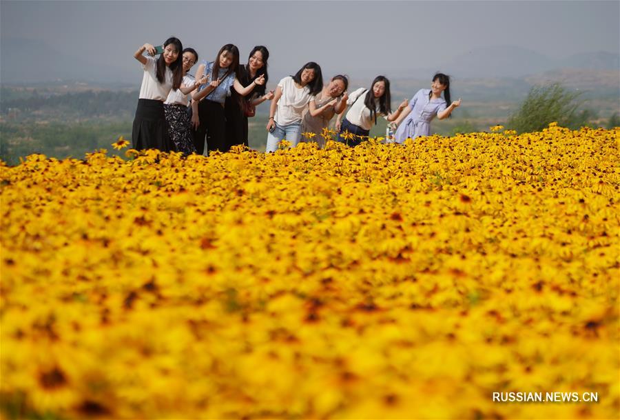Нэйчу стал новым поставщиком сырья для традиционной китайской медицины 