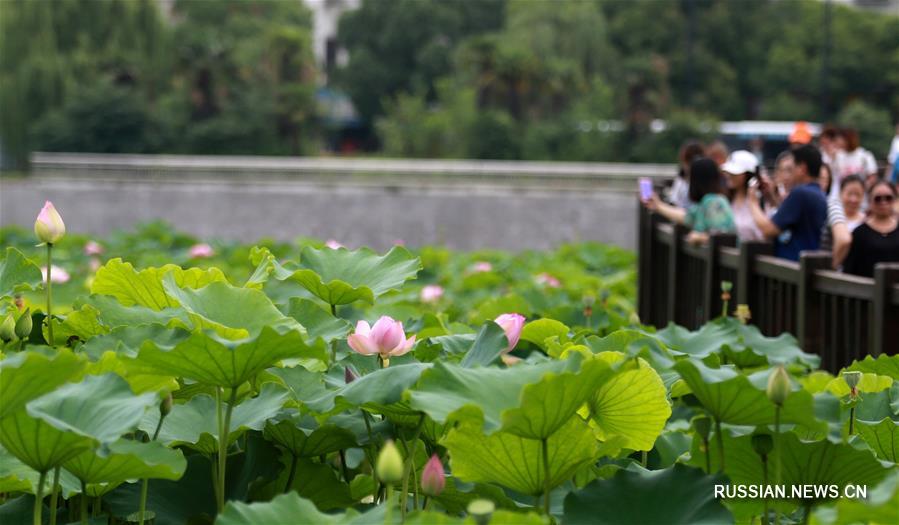 Жители Китая совершили более 48,8 млн туристических поездок внутри страны в период каникул по случаю Праздника Дуаньу
