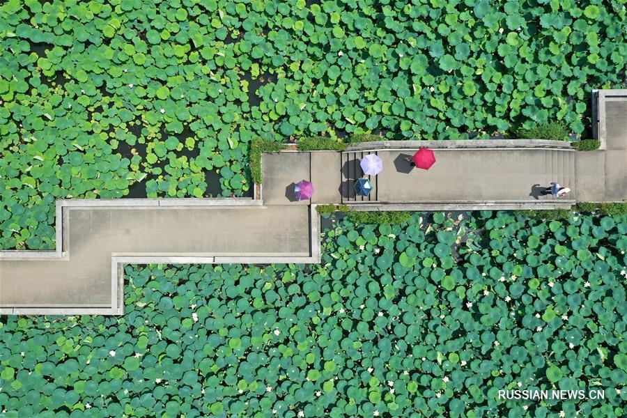 Жители Китая совершили более 48,8 млн туристических поездок внутри страны в период каникул по случаю Праздника Дуаньу