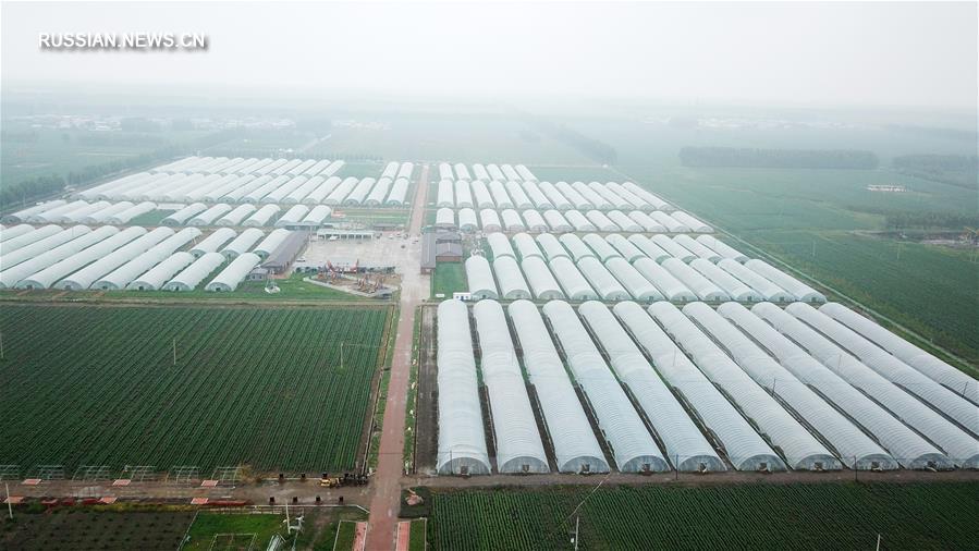 Сельский экотуризм помогает крестьянам на северо-востоке Китая в увеличении доходов