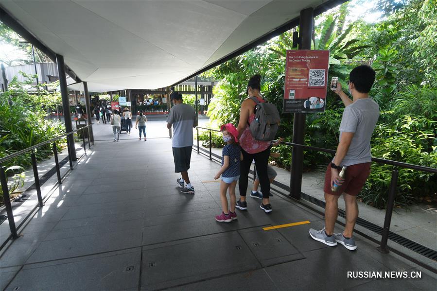 Зоопарк в Сингапуре вновь открылся для посетителей