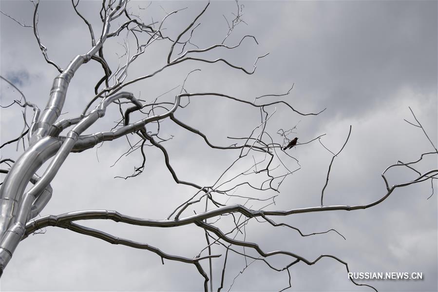 Число случаев заражения коронавирусом в США превысило 3,24 млн