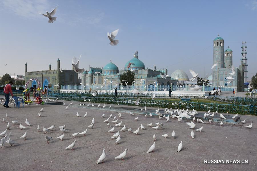 Голубая мечеть в Афганистане вновь доступна для посетителей