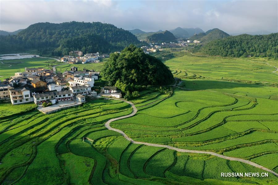 Живописные летние пейзажи в волости Гаопо провинции Гуйчжоу на юго-западе Китая