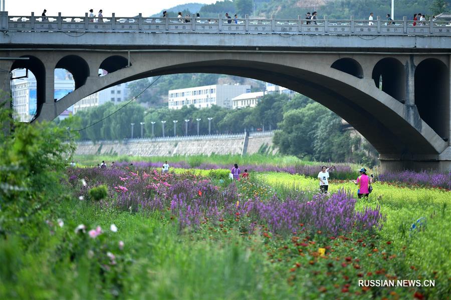 Спасение реки в городе Яньань