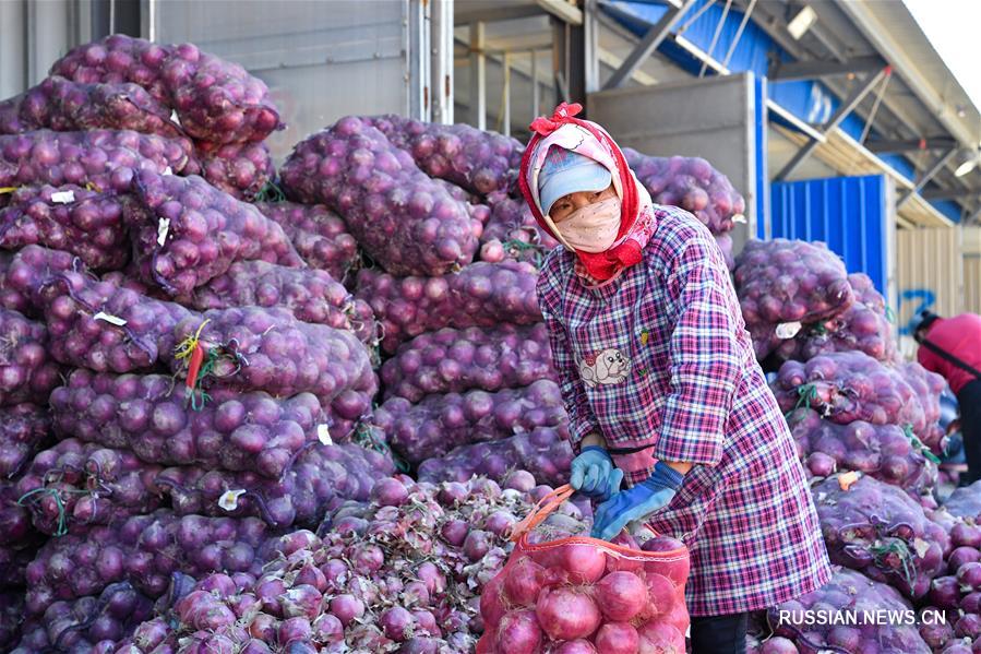 Крупнейший в Урумчи рынок сельхозпродукции заработал в круглосуточном режиме