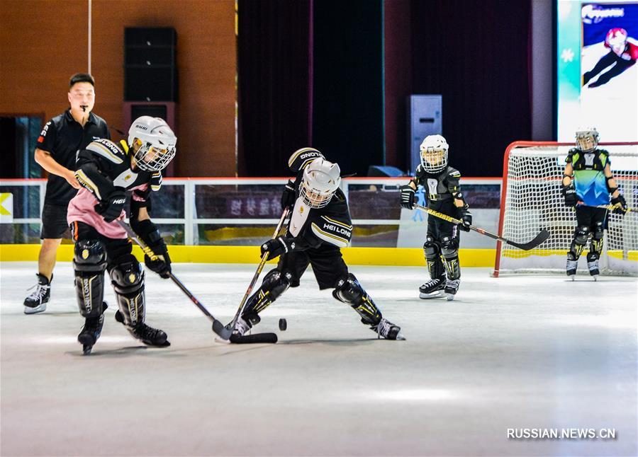 Здоровье нации -- Хоккейные тренировки в дни летних каникул 