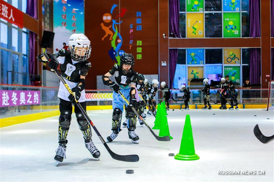 Здоровье нации -- Хоккейные тренировки в дни летних каникул 