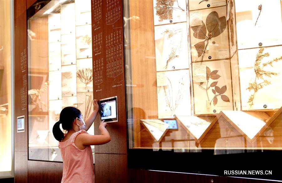 Летняя экскурсия в Шанхайский музей естественной истории