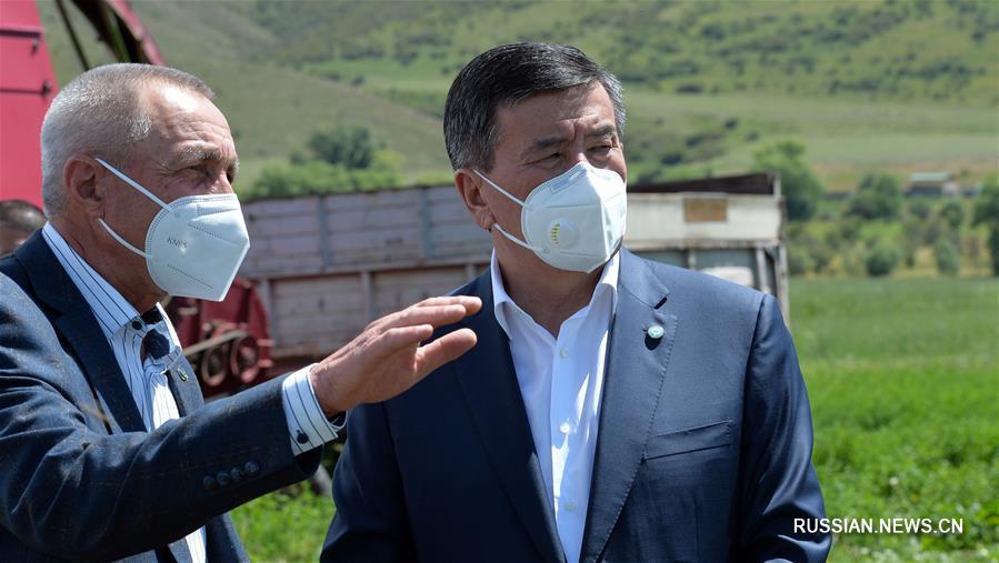 В период пандемии Кыргызстан усиленно развивает сельское хозяйство