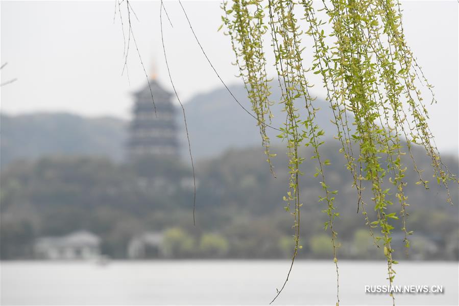 Четыре времени года на озере Сиху: весна