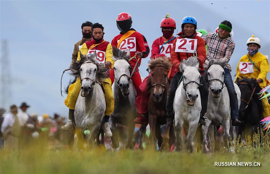 Фестиваль культуры "Золотая лошадь" в уезде Сэда