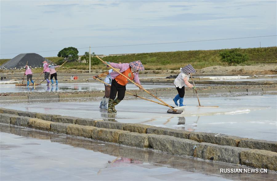 Соляные копи в Цюаньчжоу готовятся к тайфуну