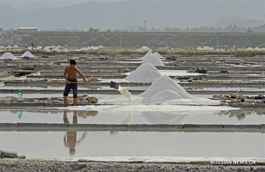 Соляные копи в Цюаньчжоу готовятся к тайфуну
