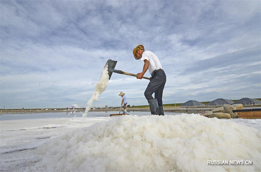 Соляные копи в Цюаньчжоу готовятся к тайфуну