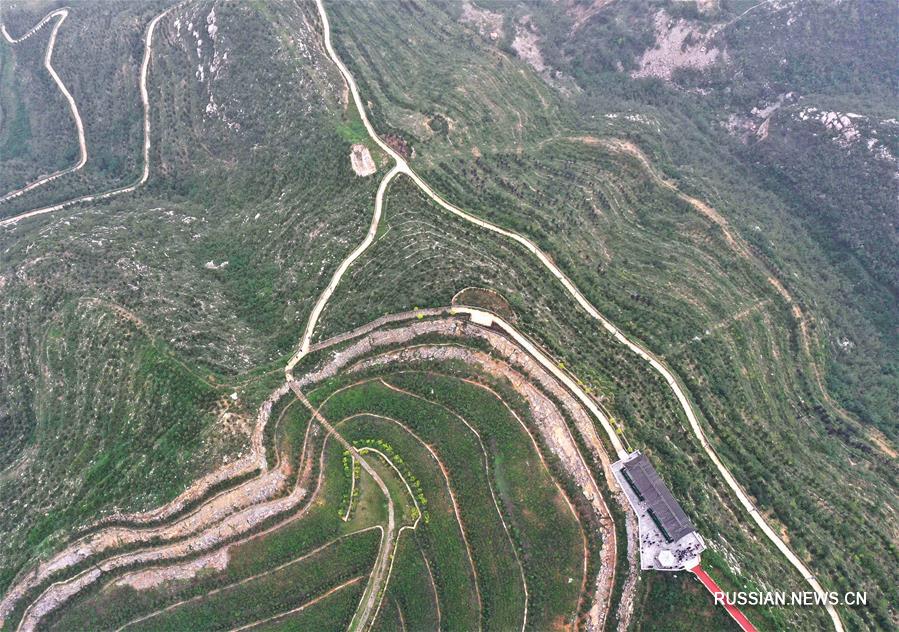 "Зеленое преображение" столетней шахты в провинции Хэбэй