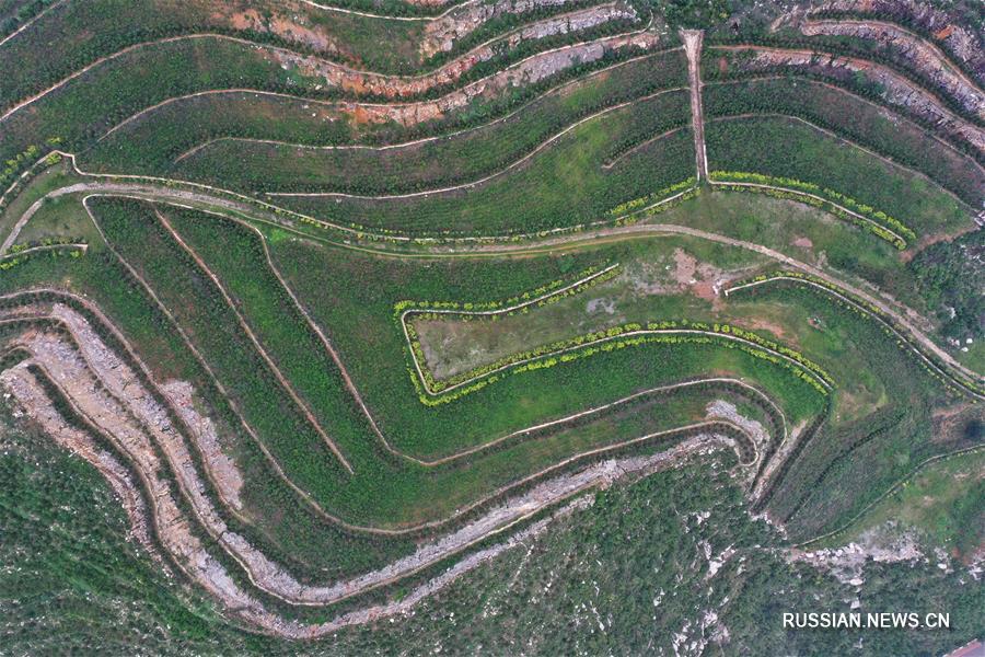 "Зеленое преображение" столетней шахты в провинции Хэбэй