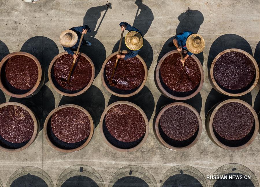 Изготовление соевого соуса по традиционной столетней технологии