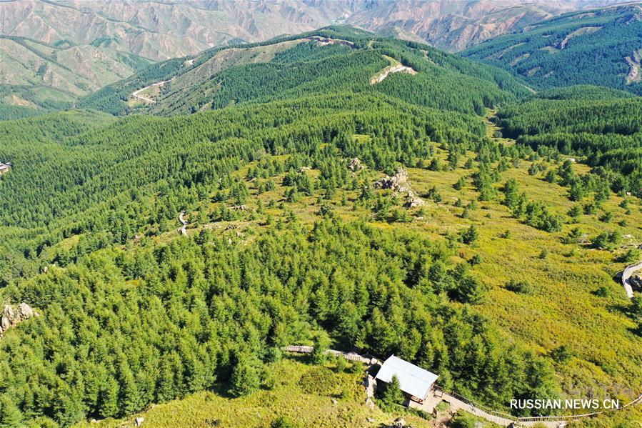Прекрасный пейзаж лесопарка Сумушань на севере Китая