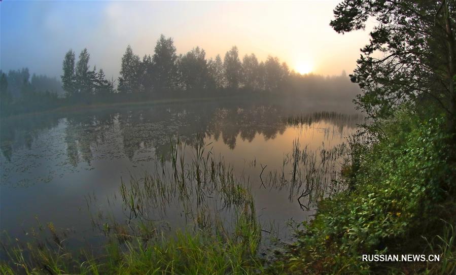 Туманное утро в Беларуси на исходе лета