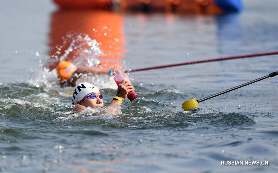 Плавание -- Чемпионат Китая по марафонскому плаванию 2020: обзор соревнований