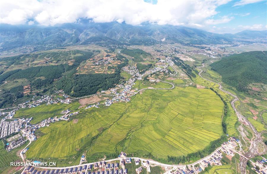 Террасные поля с заливным рисом в уезде Пугэ