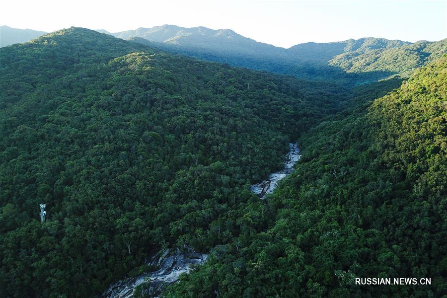 Путешествие в Хайнаньский национальный парк тропических лесов
