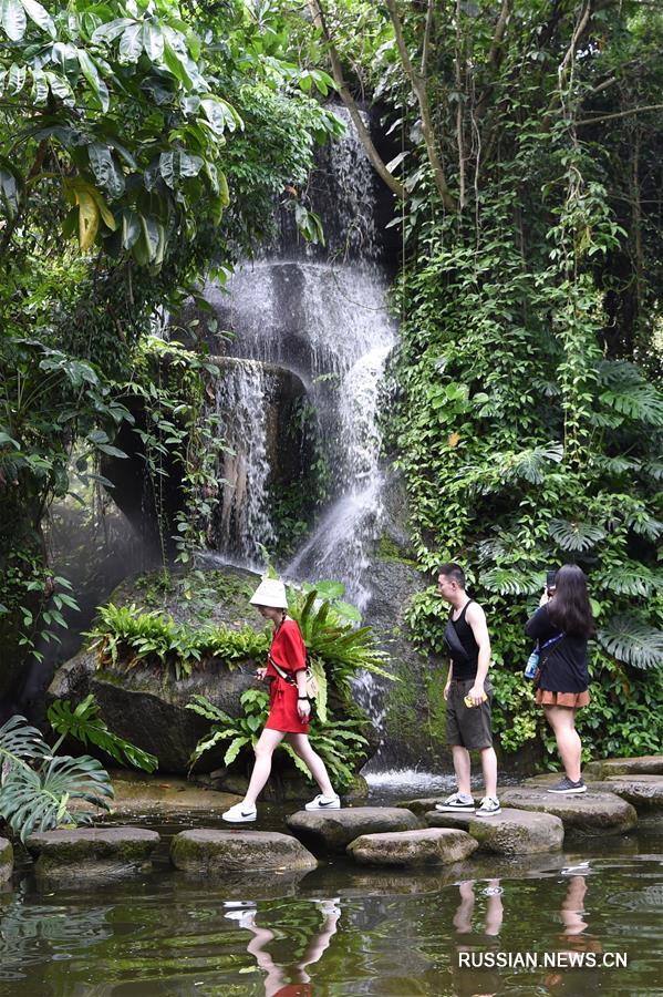 Тропические пейзажи Сямэньского ботанического сада 