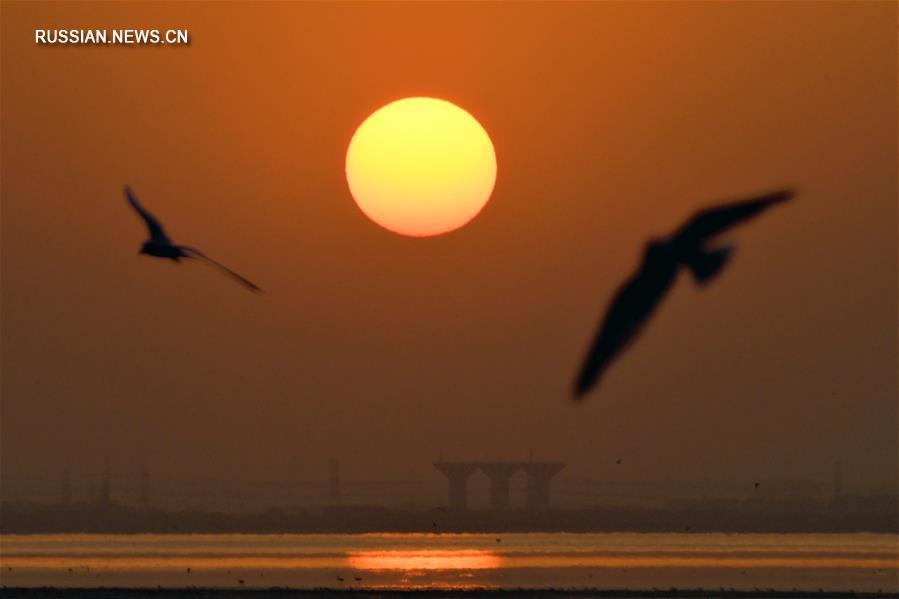 Закат солнца над морем в Эль-Кувейте