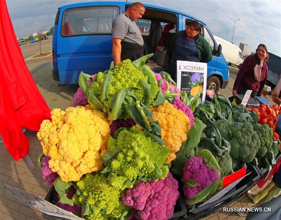 Сезон сельскохозяйственных ярмарок открылся в Беларуси