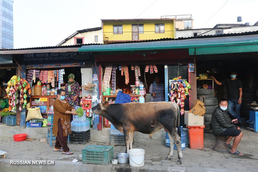 В ряде непальских городов сняли карантинные меры