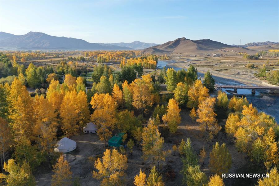 Золотая осень в уезде Цинхэ на северо-западе Китая