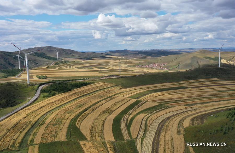 Краски осени в районе Башан на севере Китая