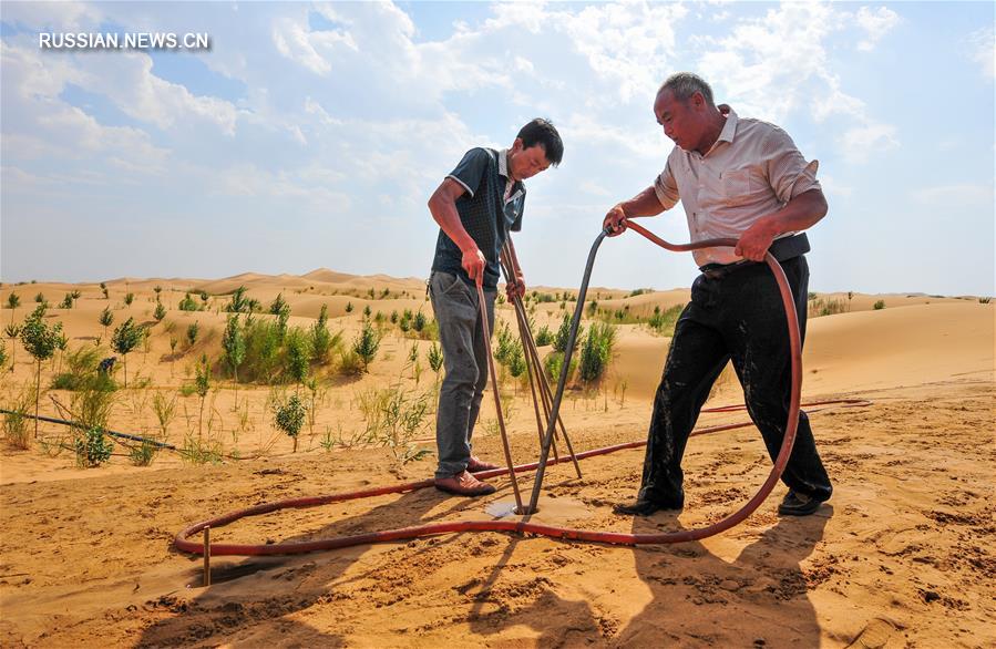 Возрождение пустыни Кузупчи -- вклад Китая во всемирную борьбу с опустыниванием