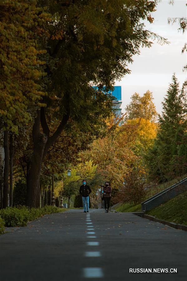 Краски золотой осени в Ташкенте