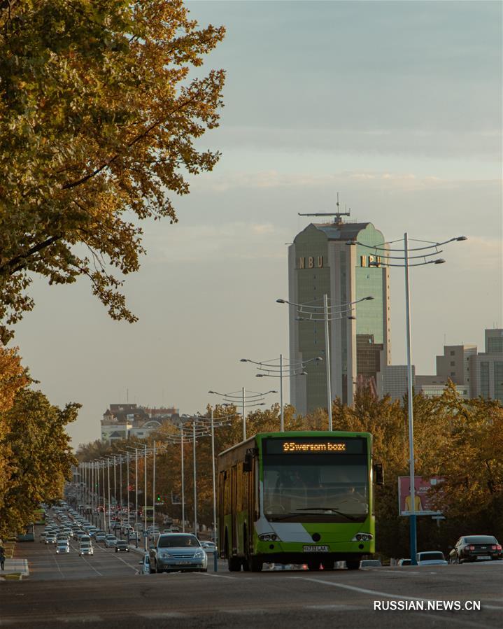 Краски золотой осени в Ташкенте