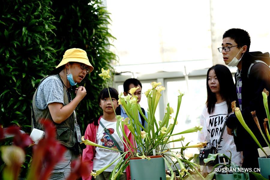 Выставка насекомоядных растений в Шанхае